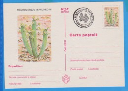 Flower Of Cactus  ROMANIA Postal Stationery Postcard 1997 - Cactus