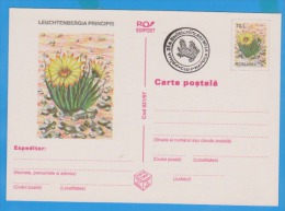 Flower Of Cactus  ROMANIA Postal Stationery Postcard 1997 - Cactus