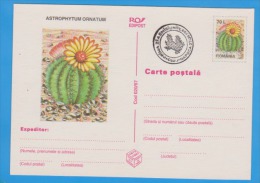 Flower Of Cactus  ROMANIA Postal Stationery Postcard 1997 - Sukkulenten