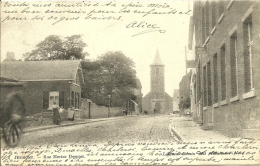 JEUMONT - Rue Hector Despret  1903  -  67 Dans Un Cercle Au Verso - Jeumont