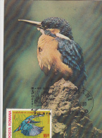 BIRDS, ICE BIRD, CM, MAXICARD, CARTES MAXIMUM, 1980, ROMANIA - Pics & Grimpeurs