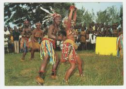 Congo - Zaire -  Kinshasa -  Danse Folklorique - Andere & Zonder Classificatie