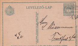 000423 Entero Postal Budapest A Franfurt 1923 - Postwaardestukken