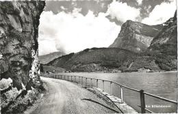 Klönthalersee - Weg Zum Gasthaus Rhodannenberg       1955 - Andere & Zonder Classificatie