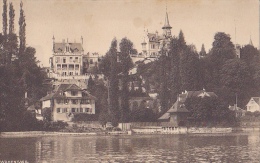 ZH6   --  WADENSWIL  --  1920 - Wädenswil