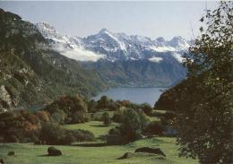 Filzbach - Lihn Blaukreuz Zentrum, Blick Auf Walensee           Ca. 2000 - Filzbach