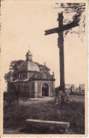 Geeraardsbergen -  Grammont ;  Zicht Op Kapel En Kruis - Geraardsbergen