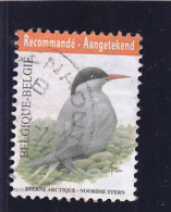 VOGELS BUZIN  2013 - Used Stamps