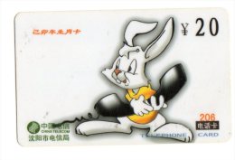 CHINE CHINA TELECOM LAPIN - Lapins