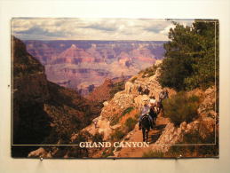 Grand Canyon - Grand Canyon