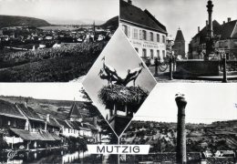 MUTZIG - Multivues (668) - Mutzig