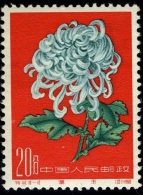 1961 Chrysanthemum,Chrysanthem En,Chrysanthèmes,China,Ch Ine,Cina,Mi.588,MNH - Neufs
