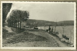 78 - BONNIERES SUR SEINE / LES PROMENADES - Bonnieres Sur Seine