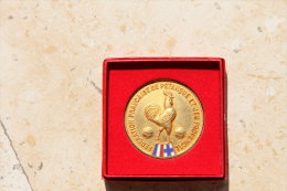 Médaille  "or" Fédération Française De Pétanque - Francia