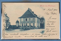 67 - DRULINGEN -- Gruss - Drulingen