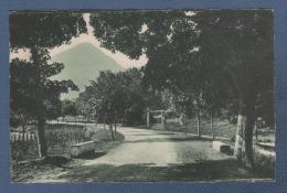 26 DRÔME - CP CHATILLON EN DIOIS - PROMENADE DU PARC - CAP N° 33 - CIRCULEE EN 1943 - Châtillon-en-Diois