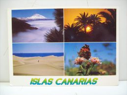 Islas Canarias  (Spagna) - Andere & Zonder Classificatie