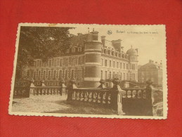 Delcampe - BELOEIL -  Le Château Vu Dans Le Parc - Belöil