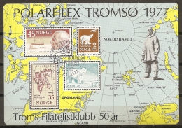 FILATELIA POLAR - NORUEGA 1979 - No Catalogada - Rara! - Expediciones árticas