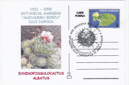 CACTUSSES AT CLUJ NAPOCA BOTANICAL GARDEN,CM, MAXICARD, CARTES MAXIMUM, 2006, ROMANIA - Cactus
