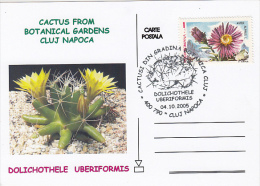 CACTUSSES AT CLUJ NAPOCA BOTANICAL GARDEN,CM, MAXICARD, CARTES MAXIMUM, 2005, ROMANIA - Cactusses
