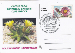 CACTUSSES AT CLUJ NAPOCA BOTANICAL GARDEN,CM, MAXICARD, CARTES MAXIMUM, 2005, ROMANIA - Cactus