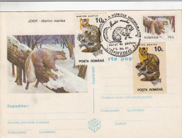 RODENTS, MARTENS, PC STATIONERY, ENTIERE POSTAUX, 1997, ROMANIA - Nager