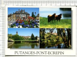 PUTANGES - PONT ECREPIN - 4 Vues : Mairie - Lac De Rabodanges - Eglise De Pont Ecrepin Sur Bords Orne - Chevaux - Putanges