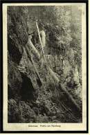 Arbersee Im Bayrischen Wald  -  Partie Am Rundweg  -  Ansichtskarte Ca.1919    (2066) - Bodenmais