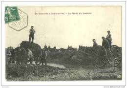COUTAINVILLE(50)1909-la Pêche Du Goëmon-belle Carte - Blainville Sur Mer