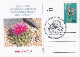 CACTUSSES AT CLUJ NAPOCA BOTANICAL GARDEN, SPECIAL POSTCARD, 2006, ROMANIA - Cactus