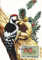 DENDROCOPOS MEDIUS,Middle Spotted Woodpecker,CM, MAXICARD, CARTES MAXIMUM,1989, ROMANIA - Spechten En Klimvogels