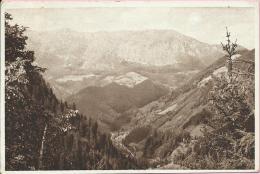 Mountaineering -/Climbing - 1024 - Valley Savinja / 1520 M - On Raduhi (Loka Na Raduhi), 1951., Yugoslavia - Klimmen