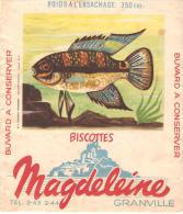 BUVARD BISCOTTES MAGDELEINE POISSON AEQUIDENS TETRAMERUS AMAZONIE PARAGUAY (etat Médiocre) - Biscottes