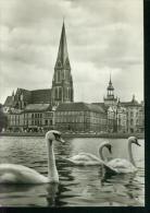 Schwerin Blick Zum Dom Schwan Schwäne 1967 - Schwerin