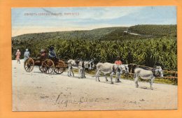 Donkey Carting Manjak Barbados 1905 Postcard - Barbados