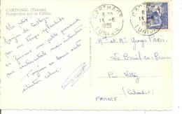 N°Y&T 374   CARTHAGE    Vers FRANCE  Le   13 JUIN 1955 - Cartas & Documentos