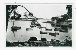 SAINTE MARINE - Vue Sur L´Odet - Combrit Ste-Marine