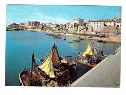 Y619 Termoli (Campobasso) - Il Porto - Barche Boats Bateaux / Viaggiata 1964 - Autres & Non Classés