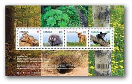 2013 Canada Baby Animal Miniature Sheet MNH - Unused Stamps