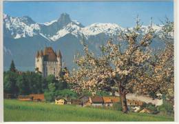 THUN / THOUNE BE - Schloss Mit Stockhorn, Panorama - 1990 - Thun