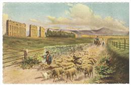 CARTOLINA - ROMA - CAMPAGNA ROMANA  - VIAGGIATA NEL 1926 - Mehransichten, Panoramakarten