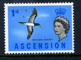 Ascension 1963 Birds - 1d Brown Booby HM - Ascensione