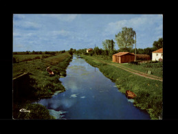 85 - CHAILLE-LES-MARAIS - Le Canal Des Cinq Abbés - Chaille Les Marais