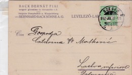 00318 Enteropostal De Yzeget-Hungria A Dalmacija - Lettres & Documents