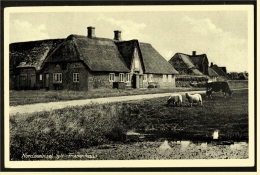 Nordseeinsel Sylt  -  Friesenhaus  -  Ansichtskarte Ca.1930    (2043) - Sylt