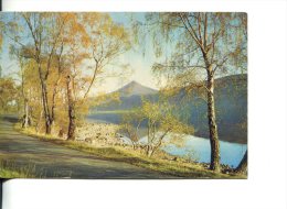 Ecosse : PERTHSHIRE : Loch Rannoch Et Schiehallion - Perthshire