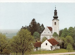 ZS43867 Maria Weinberg Bei Gaas     2 Scans - Sonstige & Ohne Zuordnung