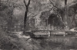 N7711 Monasterio De Piedra Lago Dal Espejo   2 Scans - Sonstige & Ohne Zuordnung