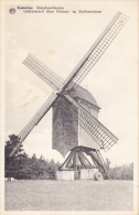 Kasterlee.  -  Standaardmolen;  EDIT:  Albert    -    Zeer Mooi Poststuk Met:  Molen    1963   Naar Deurne - Kasterlee